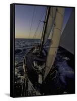 Sailing at Sunset, Ticonderoga Race-Michael Brown-Framed Stretched Canvas