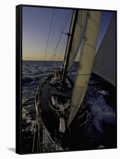 Sailing at Sunset, Ticonderoga Race-Michael Brown-Framed Stretched Canvas