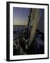 Sailing at Sunset, Ticonderoga Race-Michael Brown-Framed Premium Photographic Print