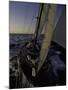 Sailing at Sunset, Ticonderoga Race-Michael Brown-Mounted Premium Photographic Print