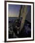 Sailing at Sunset, Ticonderoga Race-Michael Brown-Framed Premium Photographic Print