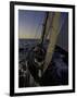 Sailing at Sunset, Ticonderoga Race-Michael Brown-Framed Premium Photographic Print