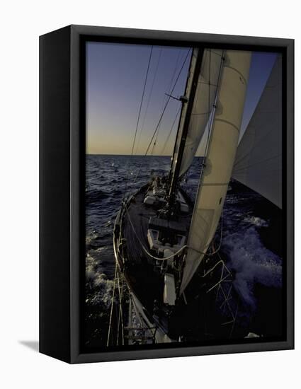 Sailing at Sunset, Ticonderoga Race-Michael Brown-Framed Stretched Canvas