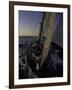 Sailing at Sunset, Ticonderoga Race-Michael Brown-Framed Photographic Print