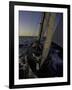 Sailing at Sunset, Ticonderoga Race-Michael Brown-Framed Photographic Print