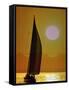 Sailing at Sunset-null-Framed Stretched Canvas