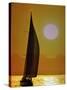 Sailing at Sunset-null-Stretched Canvas