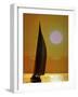 Sailing at Sunset-null-Framed Photographic Print