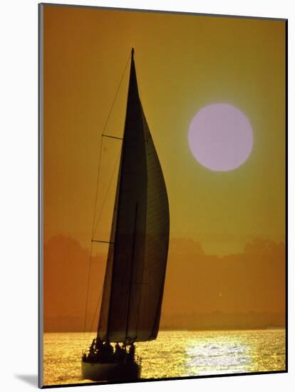 Sailing at Sunset-null-Mounted Photographic Print