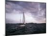 Sailing Away-null-Mounted Photographic Print