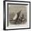 Sailing-Barge Race on the Thames, Rounding at the Nore-Edwin Weedon-Framed Giclee Print