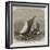 Sailing-Barge Race on the Thames, Rounding at the Nore-Edwin Weedon-Framed Giclee Print