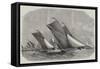 Sailing-Barge Race on the Thames-Edwin Weedon-Framed Stretched Canvas