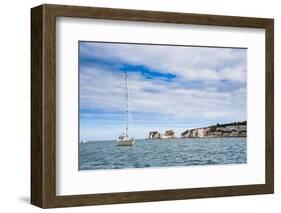 Sailing Boat at Old Harry Rocks, Between Swanage and Purbeck, Dorset, Jurassic Coast, England-Matthew Williams-Ellis-Framed Photographic Print