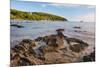 Sailing Boat at Przina Beach (Vela Przina)-Matthew Williams-Ellis-Mounted Photographic Print