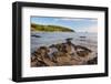 Sailing Boat at Przina Beach (Vela Przina)-Matthew Williams-Ellis-Framed Photographic Print