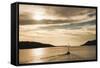 Sailing Boat at Sunset on the Dalmatian Coast, Adriatic, Croatia, Europe-Matthew Williams-Ellis-Framed Stretched Canvas