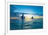 Sailing Boat at Sunset, Sea-Zhencong Chen-Framed Photographic Print