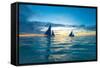 Sailing Boat at Sunset, Sea-Zhencong Chen-Framed Stretched Canvas