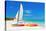 Sailing Boat (Catamaran) and Kayaks at Varadero Beach in Cuba-Kamira-Stretched Canvas