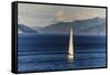 Sailing Boat in the Fjords around Picton, Marlborough Region, South Island, New Zealand, Pacific-Michael Runkel-Framed Stretched Canvas