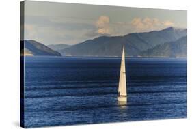 Sailing Boat in the Fjords around Picton, Marlborough Region, South Island, New Zealand, Pacific-Michael Runkel-Stretched Canvas