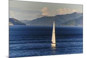 Sailing Boat in the Fjords around Picton, Marlborough Region, South Island, New Zealand, Pacific-Michael Runkel-Mounted Photographic Print