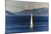 Sailing Boat in the Fjords around Picton, Marlborough Region, South Island, New Zealand, Pacific-Michael Runkel-Mounted Photographic Print