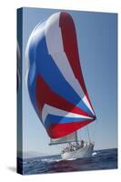 Sailing Boat in Yacht Race-null-Stretched Canvas