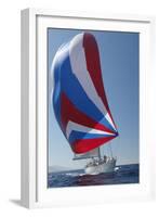 Sailing Boat in Yacht Race-null-Framed Photo