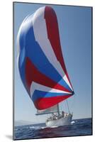 Sailing Boat in Yacht Race-null-Mounted Photo