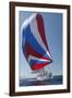 Sailing Boat in Yacht Race-null-Framed Photo