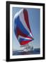 Sailing Boat in Yacht Race-null-Framed Photo