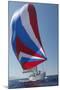 Sailing Boat in Yacht Race-null-Mounted Photo