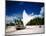 Sailing boat Jangada at Combuco Beach near Fortaleza, Ceara, Brazil-null-Mounted Art Print