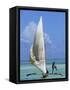 Sailing Boat, Kiwengwa Beach, Zanzibar, Tanzania, East Africa, Africa-Yadid Levy-Framed Stretched Canvas