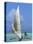 Sailing Boat, Kiwengwa Beach, Zanzibar, Tanzania, East Africa, Africa-Yadid Levy-Stretched Canvas