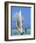 Sailing Boat, Kiwengwa Beach, Zanzibar, Tanzania, East Africa, Africa-Yadid Levy-Framed Photographic Print