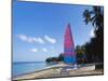 Sailing Boat on Paynes Bay, Barbados, Caribbean-Hans Peter Merten-Mounted Photographic Print