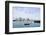 Sailing Boat Rest with Dock in Bay and Boston Downtown Skyline with Urban Skyscrapers over Sea in T-Songquan Deng-Framed Photographic Print