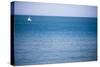 Sailing Boat, Seen from Swanage Beach, Dorset, England, United Kingdom, Europe-Matthew Williams-Ellis-Stretched Canvas