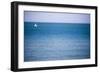 Sailing Boat, Seen from Swanage Beach, Dorset, England, United Kingdom, Europe-Matthew Williams-Ellis-Framed Photographic Print