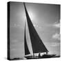 Sailing Boat-Mark Kauffman-Stretched Canvas