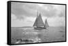 Sailing Boat-Asahel Curtis-Framed Stretched Canvas