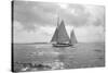 Sailing Boat-Asahel Curtis-Stretched Canvas