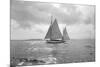 Sailing Boat-Asahel Curtis-Mounted Giclee Print