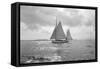 Sailing Boat-Asahel Curtis-Framed Stretched Canvas