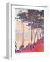 Sailing Boats and Pine Trees, 1896-Paul Signac-Framed Giclee Print