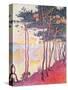 Sailing Boats and Pine Trees, 1896-Paul Signac-Stretched Canvas