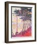 Sailing Boats and Pine Trees, 1896-Paul Signac-Framed Giclee Print